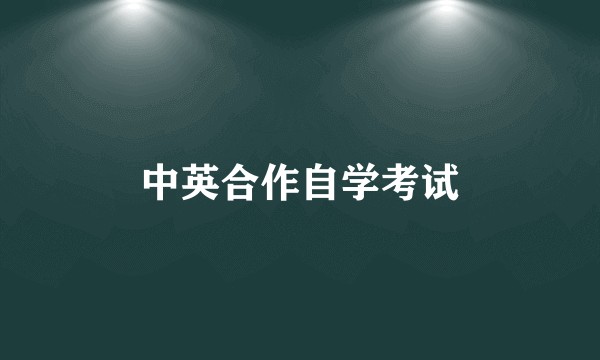 中英合作自学考试