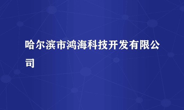 哈尔滨市鸿海科技开发有限公司