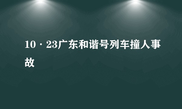 10·23广东和谐号列车撞人事故
