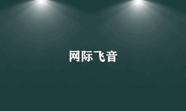 网际飞音