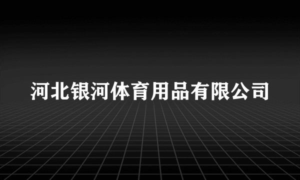 河北银河体育用品有限公司