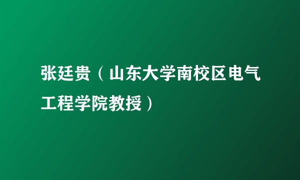张廷贵(山东大学南校区电气工程学院教授)