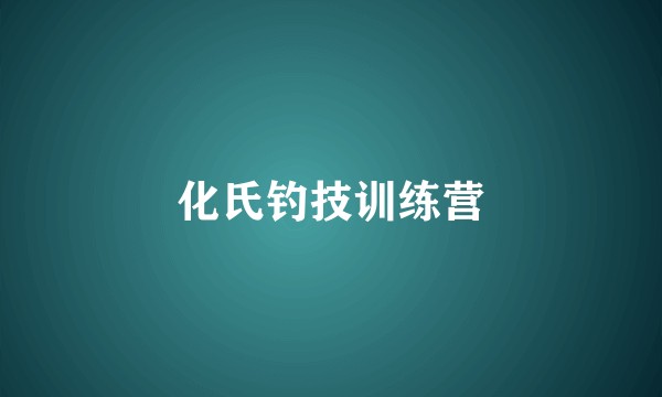 化氏钓技训练营