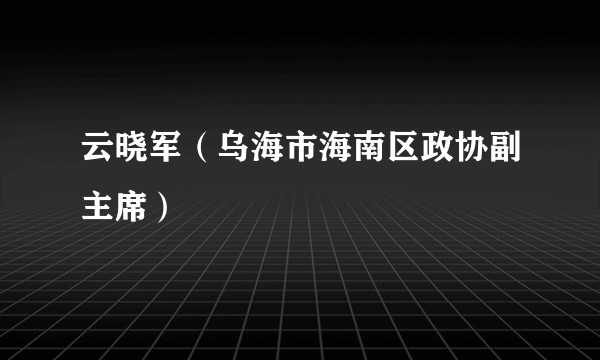 云晓军（乌海市海南区政协副主席）