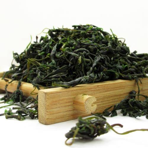 毛冬青茶叶