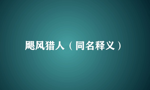飓风猎人（同名释义）