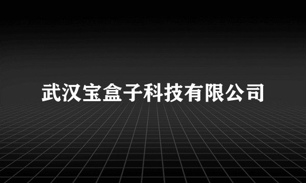 武汉宝盒子科技有限公司