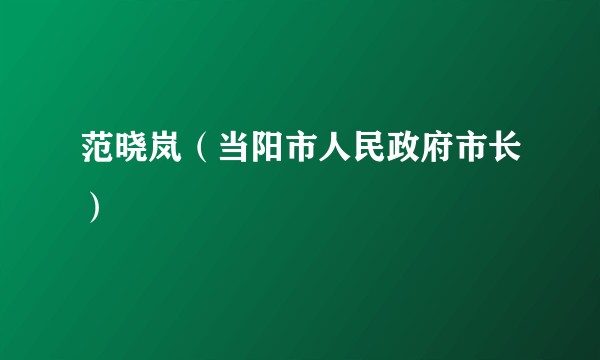 范晓岚（当阳市人民政府市长）