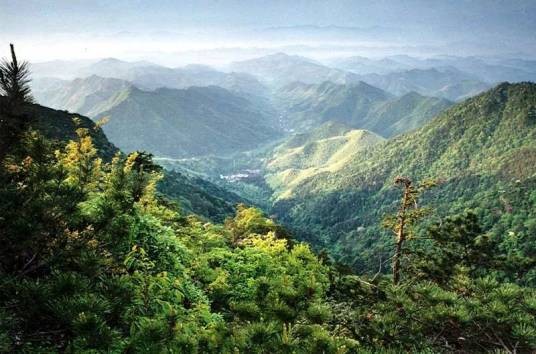 天目山(中国4A级旅游景区)
