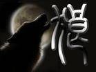 小东邦之七匹狼