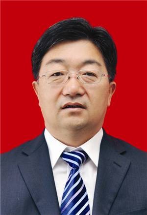 乔成(山西省大同市新荣区人大常委会原主任)