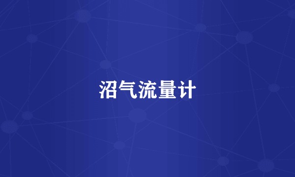 沼气流量计