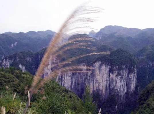 天星山