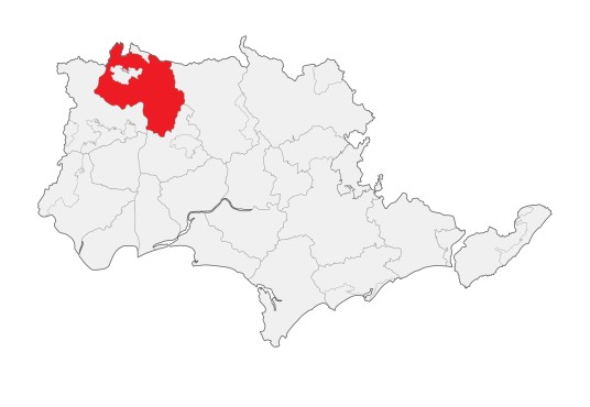 大安镇（广东省汕尾市陆丰市辖镇）