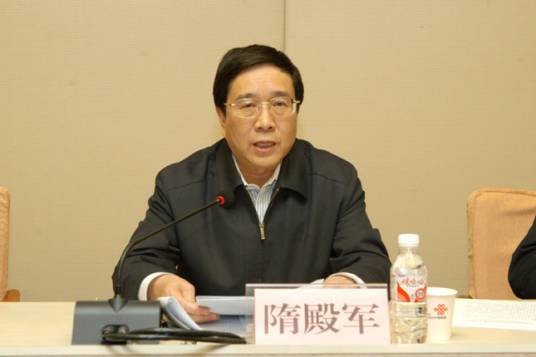 隋殿军
