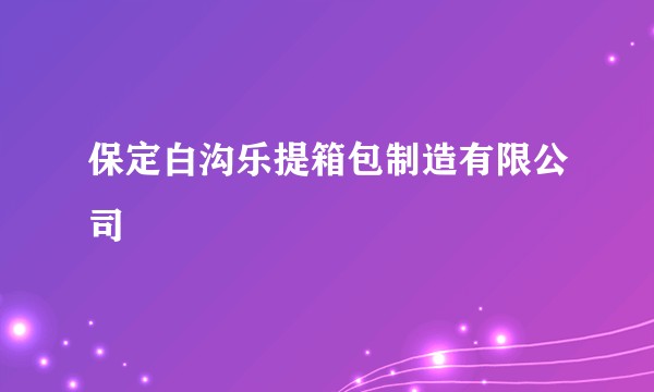 保定白沟乐提箱包制造有限公司