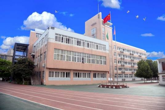 书院中学(南阳市书院中学)