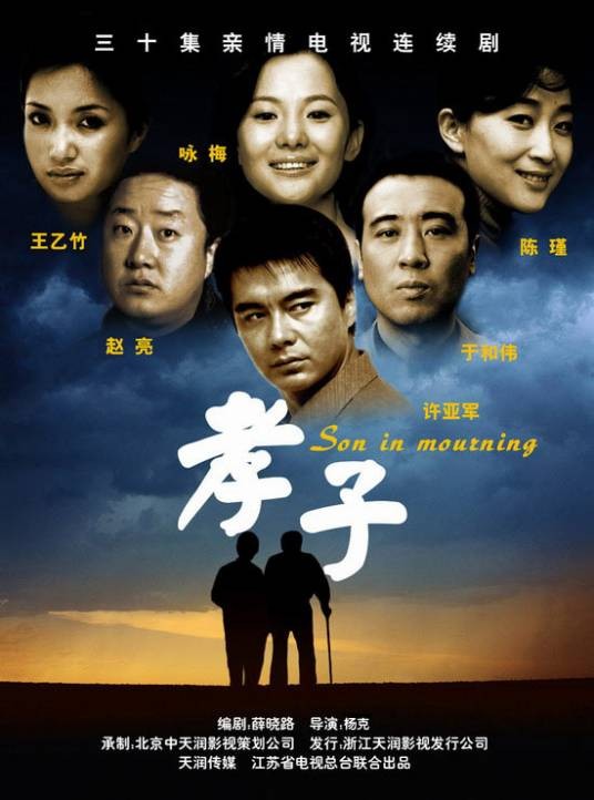 孝子(2006年许亚军主演的家庭剧)