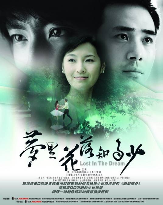 梦里花落知多少（2007年贾一平主演电视剧）