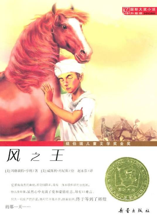 风之王（2006年新蕾出版社出版的图书）