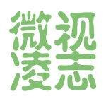 微视凌志