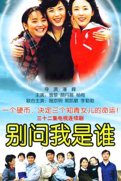 别问我是谁(潘峰执导电视剧)