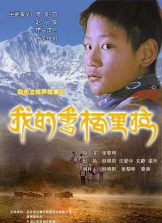 我的香格里拉（张黎民导演剧情片）