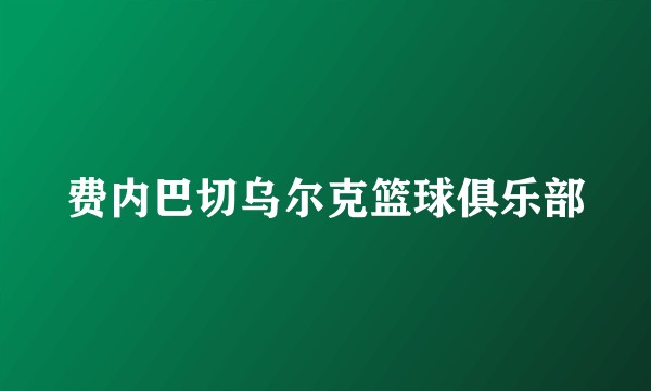 费内巴切乌尔克篮球俱乐部