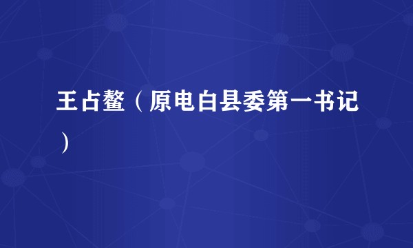 王占鳌(原电白县委第一书记)