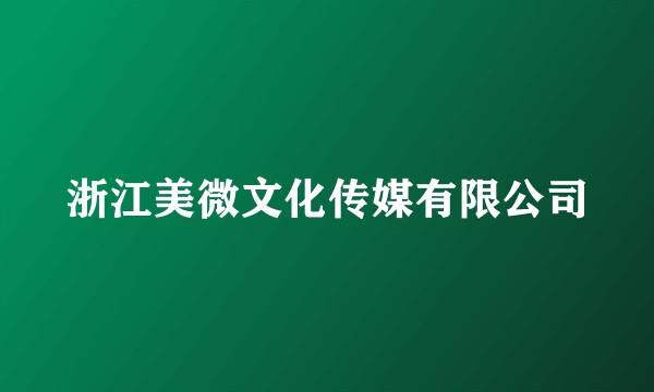 浙江美微文化传媒有限公司