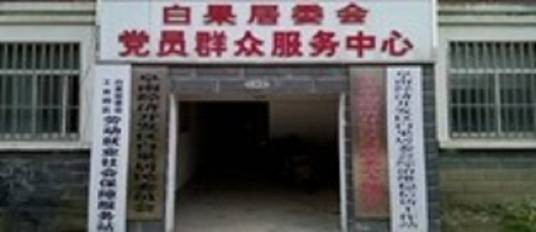 白果社区(安徽省阜南县的一个社区)