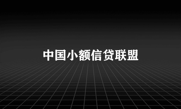 中国小额信贷联盟