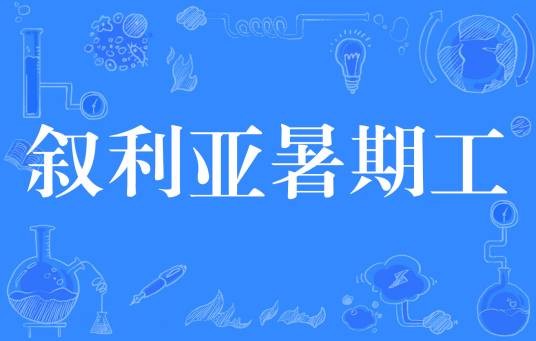 叙利亚暑期工