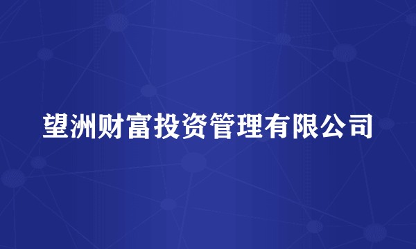 望洲财富投资管理有限公司