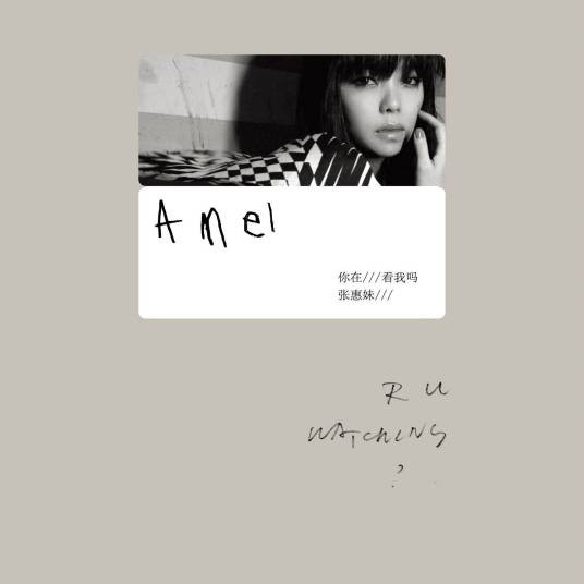 你在看我吗(2011年张惠妹发行的音乐专辑)