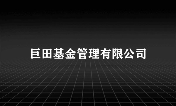 巨田基金管理有限公司