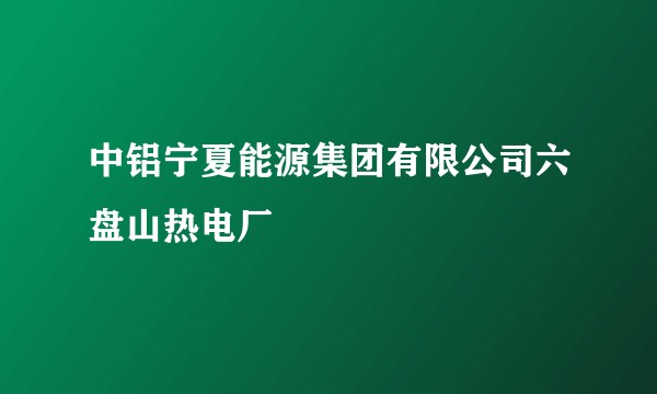 中铝宁夏能源集团有限公司六盘山热电厂