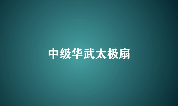 中级华武太极扇