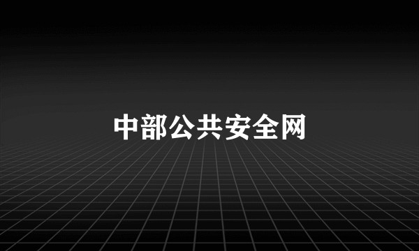中部公共安全网