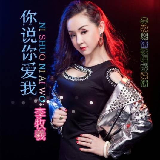 你说你爱我（歌曲）