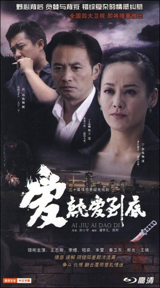 爱就爱到底(刘小宁导演电视剧)