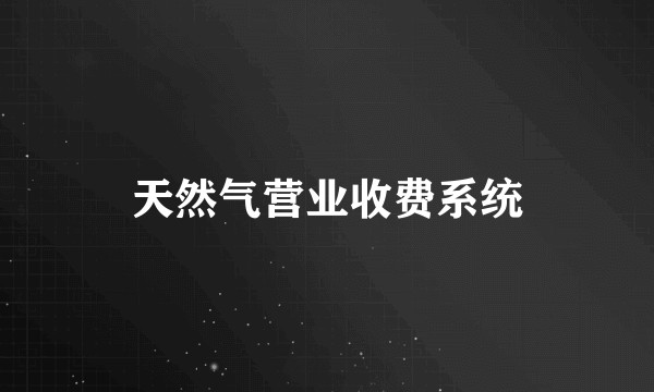 天然气营业收费系统