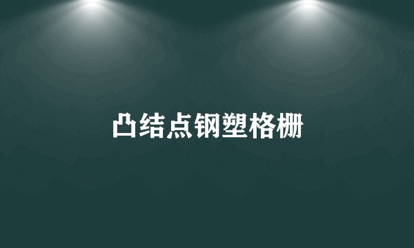 凸结点钢塑格栅