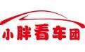 小胖看车团