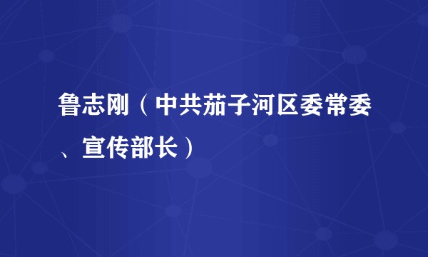 鲁志刚(中共茄子河区委常委、宣传部长)