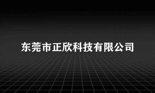 东莞市正欣科技有限公司