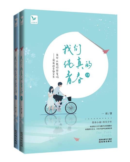 我们纯真的青春(2017年沈阳出版社出版的图书)