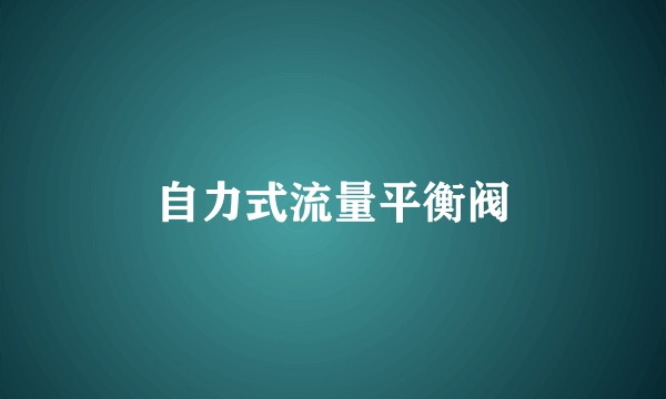 自力式流量平衡阀