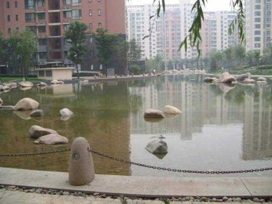 金星园
