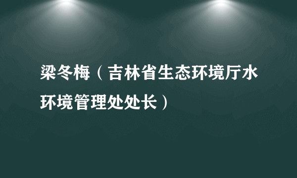梁冬梅（吉林省生态环境厅水环境管理处处长）